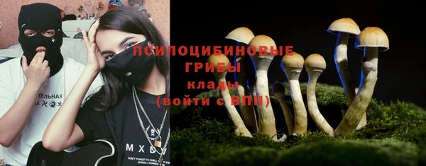 стафф Алзамай