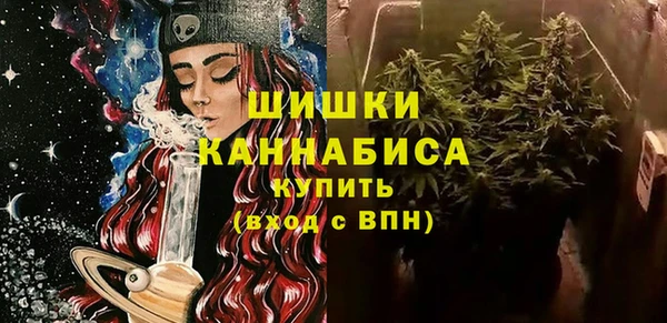 шишки Аркадак