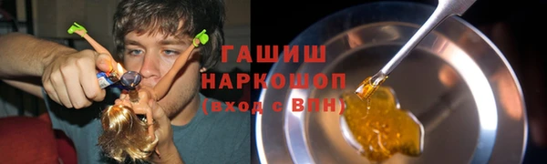 шишки Аркадак