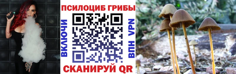 Галлюциногенные грибы Magic Shrooms Пионерский