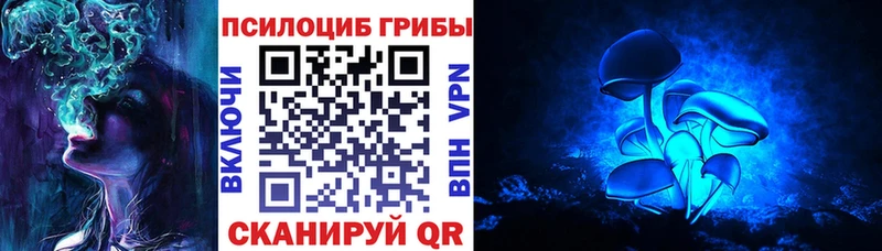 Псилоцибиновые грибы Cubensis  Купить  Пионерский 